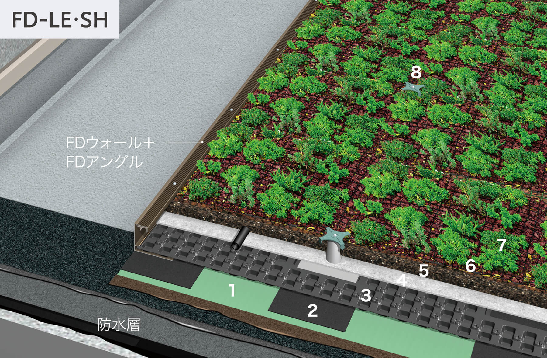 セダム 現場植え仕様 FD-LE・SH | 屋上緑化施工のエキスパート 田島緑化プラス株式会社